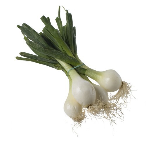  Chercher Fournisseurs D'oignon Dou... - fruits et légumes nous sommes soci&eacute;t&eacute; espagnole,  nos sommes des producteurs des l&eacute;gumes et fruits,  et aussi des exportateurs et importateurs.--nous cherchons des fournisseurs au maroc --nous cherchons des fournisseurs s&eacute;rieux pour collaborer toute l ann&eacute;e,  notre coop&eacute;ration p