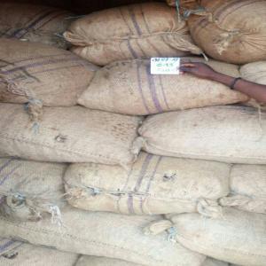  Anarcad - céréales nous cherchons 5000 tonnes d'anarcad livr&eacute; lom&eacute; (togo). kor 45-46--prix- 1600$/ tonne--pri&egrave;re &agrave; tout les plaisantin de s'abstenir.--nous demanderons bien s&ucirc;re une photo dat&eacute; d'au moins d'une quantit&eacute; de 300 &agrave; 500 tonnes d&eacute;j&agrave; dispon