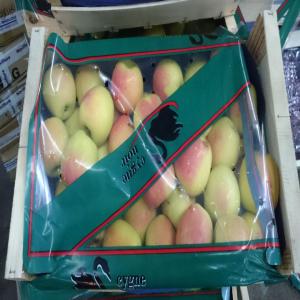  Cherche Fournisseur De Pommes Golden Pour L'egypt - fruits et légumes bonjour,  --je cherche un fournisseur de pomme rouge golden ( couleur foncée 80%-100%),  calibre 70/75,  75/80 et 70/80 et  pommes golden rose (les couleurs 80% à 90% jaune avec un peu de rouge) calibre 70/75,  75/80 et 70/80 avec des tarifs attractifs et qui peut exporter la marchandise e