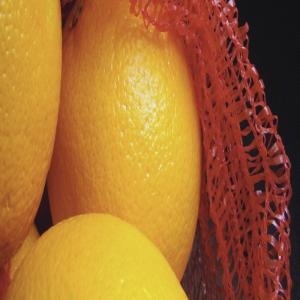  Campagne De Mandarines Et Clémentines Maroc - fruits et légumes acteur incontournable dans le négoce de fruits et légumes au maroc (frais et surgelés),  propose aux différents clients intéressés par la mandarine et la clémentine un accompagnement complet et une offre compétitive et adaptée aux besoins