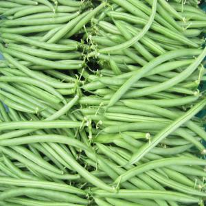  Producteur Fruits Et Légumes - fruits et légumes grand producteur de fruis et l&eacute;gumes de la zone de souss massa cherche des clientes en espagne ,  france hollande pour l'exportation des grandes quantit&eacute; des fruits et legumes.--on cultive selon la demande  et la quantit&eacute; d&eacute;sir&eacute; du client.