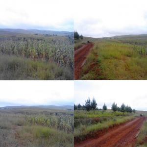  Terrain Titré Borné Vendre Madagascar - mine terrain concession a vendre- terrain titré borné à usage agricole à 23 km d‘antsirabe,  avec source d‘eau naturelle,  accessible voiture,  terrain volcanique fertile. supeficie minimum 50 ha,  superficie maximum 200ha.--prix- 2, 7 usd par m2.