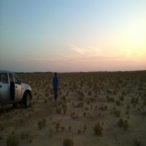  Rent Land 25 Hectar In South Tunisia - mine land concession for rent   land 25 hectars----agricultural land in tunisian south- kebili with land title all paper well regulated,  with map cadastre.--the land can be exploited in several forms of investment---1 / planting olive trees and date palms,  ...--2 / medicinal planting; ...--3 / energy plantations- jojoba