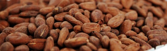  Cacao, Vanille, Café Madagascar - café cacao thé je peux vous offrir les meilleurs produits de madagascar avec meilleur prix. je peux vous fournir des cacao,  la vanille,  huile de vanille,  girofle et café de madagascar tous les ans selon la quantité de vos demandes avec le meilleur prix.