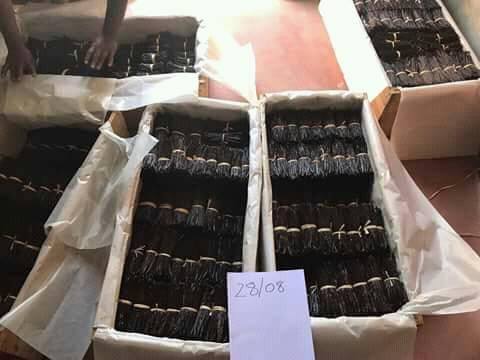  Vanille De Madagascar Qualité Export 2017 - épices aromates nous avons en ce moment de la vanille noire type gourmet - 14 cm &agrave; monter de longueur  - &agrave; 395   le kilo.  
