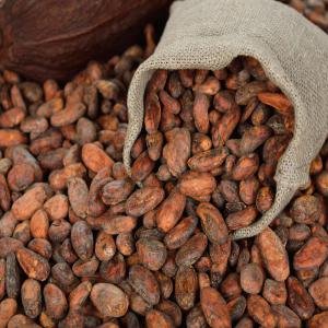  Coopérative Cacao - fruits secs et graines grillées nous sommes une coopérative cacao en activité depuis 05 années ,  nous respectons toutes les procédures réglementaires production collecte vente de cacao de qualité. grâce à notre agrément nous pouvons désormais exporter et importer