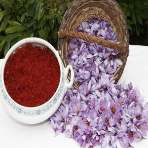  Pur Saffron Bio 100% Naturel -taliouine Morocco - aromatic spices i'm from morocco,  i propose for sell exelent quality  of pur saffron bio and 100% naturel from taliouine region morocco. quantities 5g,  10g,  15g,  20g, ...100g,  250g,  500g,  1kg.----