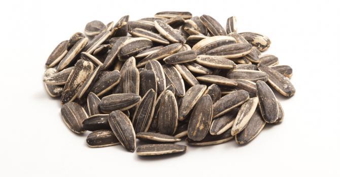  Graines De Tournesol - fruits secs et graines grillées bonjour chers membres espaceagro, --nous sommes une entreprise d'exportation basée en bulgarie et spécialisée dans le domaine des fruits secs (graines de tournesol bi couleur). --types de graines de tournesol - --24/64 ; 22/64 ; 20/64  9% d'humidité et 99% de propret&eacut