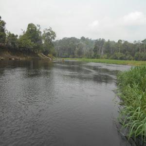  Recherche De Partenaire Agricole Au Cameroun - mine terrain concession jeune camerounais, recherche un partenaire  financier pour la réalisation d'un projet agricole sur 500 hectares de terrain à proximité de yaoundé la capitale du cameroun, dans la localité de l'arrondissement de  mengang.région du centre.--terrain fertile adapt