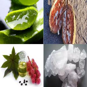 Les Produit Bio Vous Intéresse - autres qui sommes-nous ?--crée en 2017,   sarl spécialisée dans l’exportation des divers produits de madagascar vers le monde entier. --formée d’une équipe dynamique et compétente,  nous avons des représentants en europe,  chargés de promouvoir nos produ