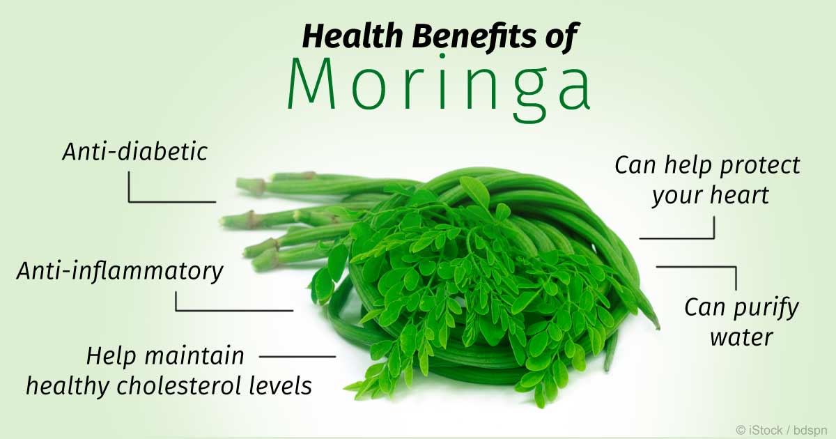  Moringa Bio Et Gomme Arabique Vendre - matiere vegetale nous sommes situés au niger ( afrique de l'ouest),  nous produisent du moringa et de la gomme arabique en grande quantité avec des installations modernes nous produisons dans les conditions d'hygiène les plus optimales. nous recherchons de potentiels clients ou partenaires afin d