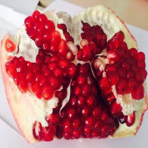  Grenade Recolte 2017 - fruits et légumes producteur et entreprise de grenade recolte 2017 qualite extra on dispose de 60 tonne voir plus on cherche un client fiable pour relation durable.