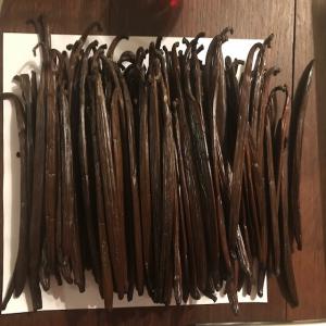  Vanille Bourbon Fraiche De Madagascar 15-18 Cm - épices aromates bonjour, --nous vous proposons notre vanille fraiche de madagascar premium 16-18 cm --50 -100 kg disponible par semaine.--le prix par kg å partir de 20 kg par mois et le prix est dégressif pour de plus grande commande. livraison sous 1 semaine expresse.--payement par facturation å la commande 