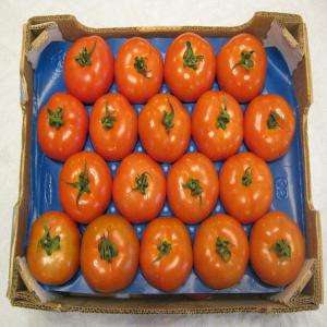  Exportateur Fruits Et Legumes - fruits et légumes soci&eacute;t&eacute; marocaine sp&eacute;cialis&eacute;e en production,  conditionnement et commercialisation des fruits et l&eacute;gumes. nous utilisons les derni&egrave;res technologies pour la culture,  le stockage,  le conditionnement et l'emballage. en outre,  notre soci&eacute;t&eacute; dispose 