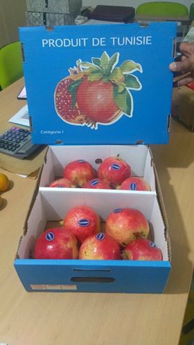  Dates, Red Pomegranate, Orange - fruits and vegetables we offer our customers the following 3 high-quality products---- dates- recognized on the international market by its sweet taste and its good quality, --- green orange (clementine variety) and normal orange--- red pomegranate - the queen of all,  the tunisian variety  guébsi ,  its red color an