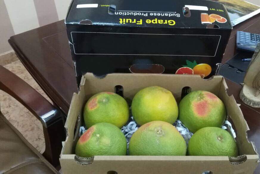  Pamplemousse Type Red Plash - fruits et légumes nous disposons de pamplemousse type red plash a vendre origine soudan .--gros calibre 6 pièces en carton de 4 kg.--nous cherchons des clients sérieux pour coopération qui peut s'étendre a autres produits comme la mangue , la gomme arabique , hibiscus , sésame et arach