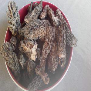  Champignons En Vente - champignon levure  nouvelle soci&eacute;t&eacute; d'import/export,   situ&eacute;e en franche-comt&eacute; (france) vous propose 25 kilogrammes de pied de morilles s&eacute;ch&eacute;s - ----n'h&eacute;sitez pas &agrave; nous contacter pour plus d'informations et tarifs.--