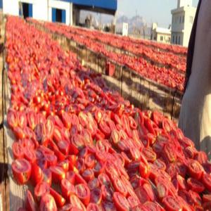  Tomate Séché Au Soleil - fruits et légumes nous sommes une soci&eacute;t&eacute; agro-alimentaire totalement exportatrice,  notre produit est de la tomate s&eacute;ch&eacute; au soleil bonne qualit&eacute;.  merci de nous contacter