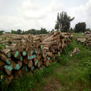  Bois De Teck Vendre - bois charbon fibre nous mettons en vente 20 containers de teck. contactez nous directement et tôt si vous etes intéressés. merci