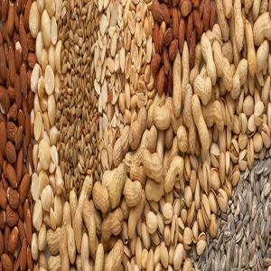  Noix Graines Épices Pouls Fruits Secs - fruits secs et graines grillées nous sommes des fournisseurs en gros de grains de café,  de poivre noir,  de bouteille de miel,  de poudre de café,  de cardamome,  de graines d'épices etc.----fournisseurs en gros de sucre,  riz,  épices et légumineuses,  huile,  farine de blé,  pâtes de lait,  