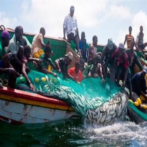  Partenariat Fructueux, Gagnant Gagnant - poissons nous sommes un groupe de jeunes travaillant dans la peche depuis 1997,  et cherchons à aggrandir notre marché dans le domaine des produits halieutiques,  du frais,  au salé seche ou fumé seché,  cherchons des partenaires serieux pres à travailler avec nous,  nous