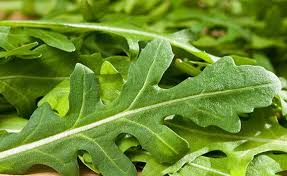  Vente Roquette Sauvage, Rucola, Arugula - fruits et légumes on cherche un client potentielle pour l'achat du roquette sauvage pour la prochaine saison, --on signe un contrat pour la  collecte de prochaine saison dès maintenant , (saison de collecte courte)--sérieux envoyé une email contenant un bon de commande pour la futur collecte.--