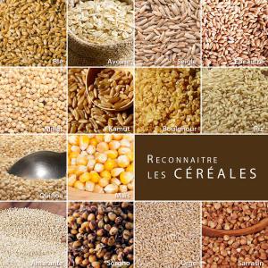  Soja, Maïs, Mil, Sorgo, Arachide,huile De Palme - céréales  nous sommes une société d'exportation des céréales-soja; maïs; arachide; mil; huile de palme...et nous disposons d'une quantité remarquable de ces dits produits. nous sommes ouvert à toute les négociations pouvant aller dans le cadre d'un partenariat