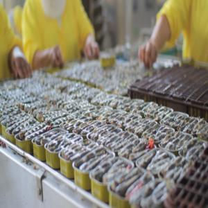  Sardines En Conserves - poissons agent commercial spécialisé dans l'import/export agroalimentaire avec une dizaines d'années d’expérience,  recherche partenaire/producteur (maroc et/ou tunisie) de sardines en conserves pour la mise en place d'un partenariat de distribution/représentation vers les p