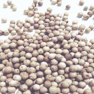  Poivre De Penja - épices aromates bonjour, --arrivage un stock de 100kg de poivre blanc en vrac,  --expédition uniquement en france.----me contacter pour un devis.--bien cordialement