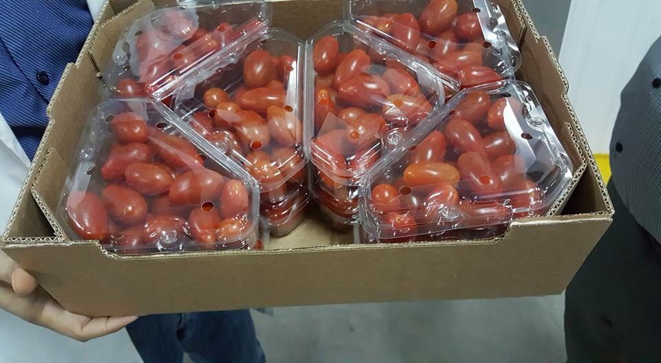  Cherry - fruits et légumes bonjour, nous sommes une societe export &agrave; agadir 