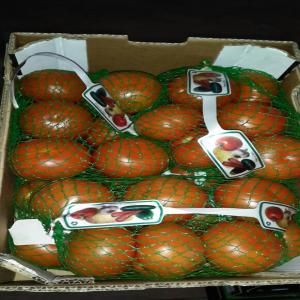  Tomate Et Tomate Serise. - fruits et légumes nous somme une société d'export offre des tomate caliber 47-57 / 57 -67 au prix 0, 85  € /kg reglement l/c .--cordialement. 