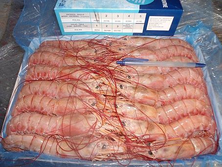 Crevette Rouge Argentine - poissons crevette rouge sauvage d argentine,  r&eacute;put&eacute;e pour sa saveur proche de la langouste,   depuis buenos aires argentine