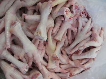  Les Pattes De Poulet Congelé - viandes et oeufs le marcher  de l'exporte des pattes de poulet congelé et un domaine vierge au maroc   ----------------------le marcher  de l'exporte des pattes de poulet congelé au et un marcher vierge 