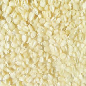  Grain De Maïs - céréales nous sommes une société d'exportation des céréales ,  et nous disposons d'une grande quantité des tonnes remarquable maïs pur et de bonne qualité qui est mise en vente. pour toutes personne intéressé contacter nous- whatsapp - 229 62 80 80 40