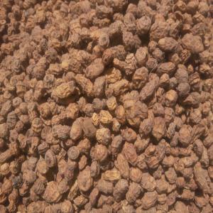  Consommateur Souchet Séché - fruits secs et graines grillées recherche un acheteur de souchet s&eacute;ch&eacute; et souffl&eacute; origine afrique de l'ouest en conteneur de 20pieds ou 40pieds chargement port de cotonou b&eacute;nin origine produit niger.