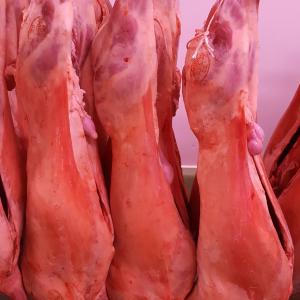  Moutons - animaux vivants moutons poids plus de 40kg .origine espagnol .tous les certificats sanitaire possibilité de transport. contacter avec nous ......