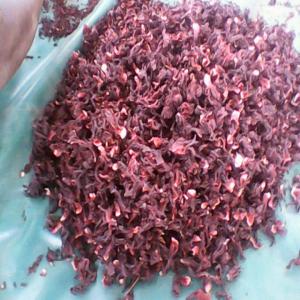  Fleurs Hibiscus (bissap) Burkina Faso - fruits secs et graines grillées  nous sommes dans le domaine de production et de commercialisation de fleurs hibiscus (bissap); nous sommes a la recherche de clients acheteurs au pays et au monde entier pour un partenariat gagnant-gagnant; nous sommes bien organis&eacute; pour r&eacute;pondre a vos attente.--aux plaisantins de s a