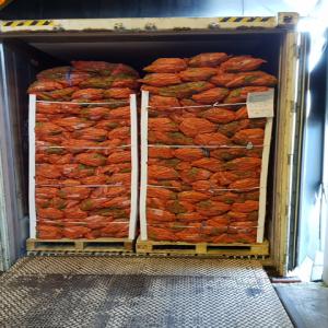  Carottes Oignons Pommes De Terre Pommes - fruits et légumes carottes,  oignons,  pommes de terre,  pommes disponible de la belgique,  meilleur qualite de l europe. prix tres favorable. chargement sur conteneur 40ft.  