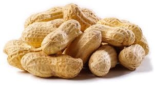  Arachides En Gros/wholesale Peanuts From Senegal - matières grasses prenez contacte avec moi --