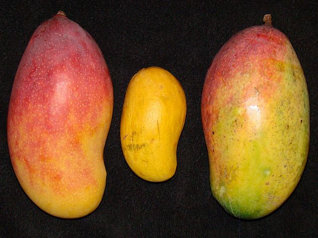  Exportation De Fruits Tropicaux - fruits et légumes j'exporte des fruits tropicaux comme la mangue,  l'ananas et autres. merci de me contacter pour tout achat.