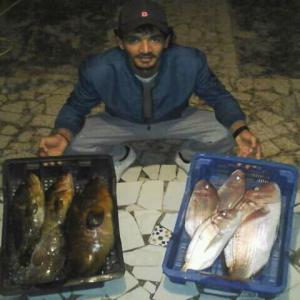  Poissons Akilaria - poissons jeune qui aime le monde de mer. je pratique la chasse sous marine. depuis mon enfance je pratique le comerce des poissons