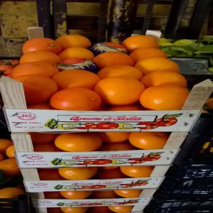  Agrumes De Sicile 2019/2020 - fruits et légumes bonjour,  --soci&eacute;t&eacute; d'importation dispose de grande quantit&eacute;,  d'oranges, ( navel,  valencia,  ovali,  tarocco ) -- citrons primafiore,  cl&eacute;mentines nova,  mandarine--tous calibres,  vari&eacute;t&eacute; en fonction du calendrier,  qualit&eacute; garantie.--n'h&eacute;sitez pas &a