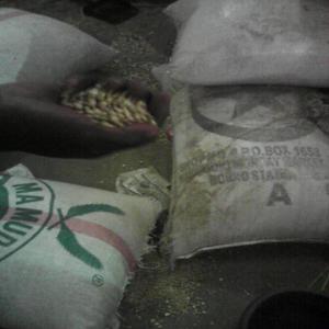  Fournisseur De Maïs Soja Et Arachides - fruits secs et graines grillées 50 tonnes de maïs déjà en sac de 100kilo 30 tonnes de soja déjà en sac de 100kilo sinon plus 40 tonnes d'arachide déjà en sac de 100kilo aussi sinon plus.. et je décide avoir un contrat sur le long terme et etre un fournisseur adéquat.