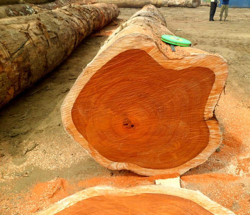  African Hardwood Sawn Timber And Wood Logs - wood charcoal fiber we have over stuck woods and wish to locate international market as soon as possible as they are good species of african hardwoods lumber[sawn wood] and logs ranging from, , --spruse, oak,  padouk,  belli,  tali,  iroko,  teak,  cherry,  pine,  boxwood,  azobe, euchaliptus,  sipo,  ask,  cedar,  cherry,  cosipo,  afro