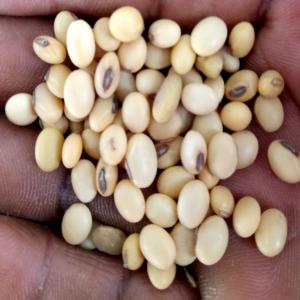 vente-et-l-achat-des-produits-agricoles-agricoles-benin-espaceagro