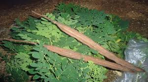  Vente D'arachide Et Nebeday - fruits et légumes je dispose d'une quantit&eacute; importante d'arachide et nebeday &agrave; commercialiser.veuillez me contacter pour tout int&eacute;ress&eacute;.