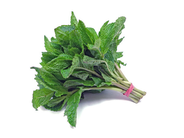  Menthe Coriandre Persil Non Bio Et Bio - fruits et légumes bonjour, --nous sommes exportateur de menthe,  persil,  coriandre et d’autre plante aromatiques a l’état frais agrée eacce,  bio et conventionnel, --nous travaillons nos produits dans les meilleures conditions d'emballage,  avec un soin particulier apporté à nos marchandises su