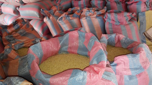  Sésame Blanc Burkina Faso - fruits secs et graines grillées nous sommes dans le domaine de production et de commercialisation du s&eacute;same blanc; nous recherchons de clients acheteurs au pays et au monde entier pour un partenariat gagnant-gagnant;--aux plaisantins de s abstenir. 