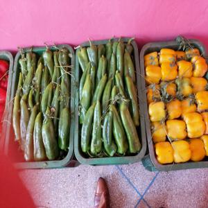  Fruits Et Légumes Produit Maroc - fruits et légumes bonjour, --nous sommes à la recherche de clients sérieux pour la commercialisation des produits agricoles marocains dont liste ci dessous  -----tomate--tomate cerise sans grappe--tomate grappe--aubergine--courgette noire ou verte--poivron carré rouge vert jaune--poivron long vert