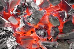  Charbon De Bois Bonne Qualite - bois charbon fibre on recherche une tres bonne qualite de charbon de bois pour notre aimables clientels avec les meilleurs prix du marche actuel. --